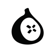 FIG Security logo