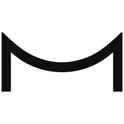 Mate Security logo